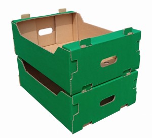 Opakowanie karton skrzynka na tekturowa zielona 6kg 25szt.